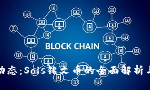 最新政策动态：Sols铭文币的全面解析与未来趋势