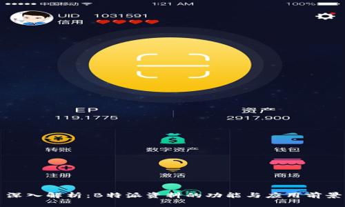 深入解析：B特派资料的功能与应用前景