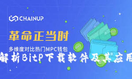 全面解析BitP下载软件及其应用场景