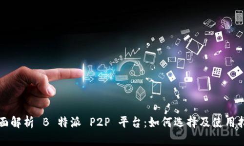 全面解析 B 特派 P2P 平台：如何选择及使用指南