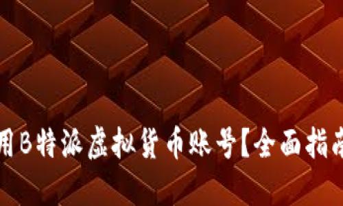 如何安全使用B特派虚拟货币账号？全面指南与风险防范