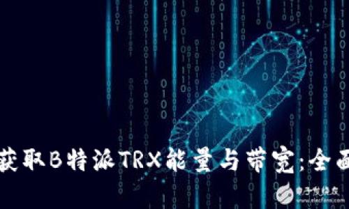 如何获取B特派TRX能量与带宽：全面指南