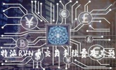 了解B特派RVN币交易手续费