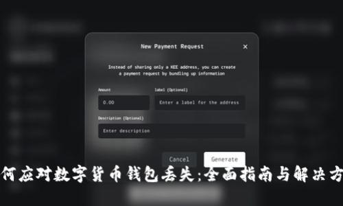 如何应对数字货币钱包丢失：全面指南与解决方案