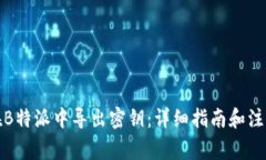 如何在B特派中导出密钥：