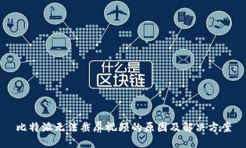 比特派无法截屏视频的原因及解决方案