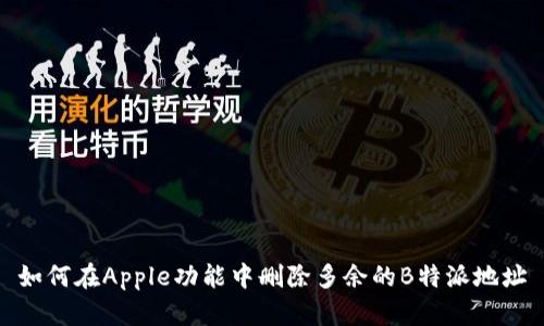 如何在Apple功能中删除多余的B特派地址