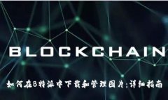 如何在B特派中下载和管理