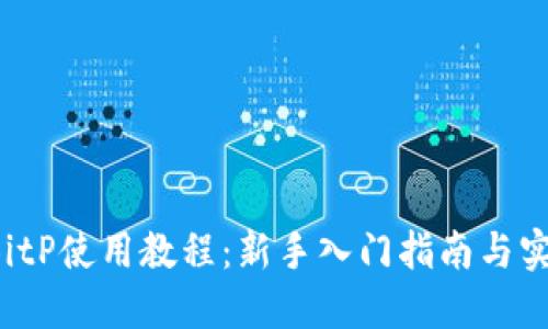 b特派BitP使用教程：新手入门指南与实用技巧