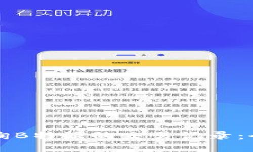 如何查询B特派的交易记录：全面指南