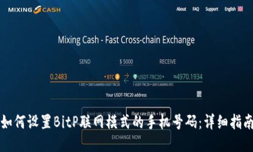 如何设置BitP联网模式的手机号码：详细指南