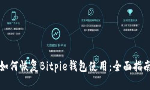如何恢复Bitpie钱包使用：全面指南