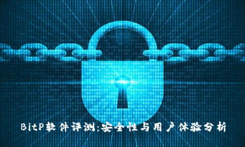 BitP软件评测：安全性与用户体验分析