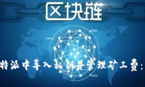 如何在B特派中导入私钥并管理矿工费：详细指南