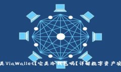 什么是ViaWallet？它是冷钱