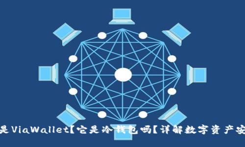 什么是ViaWallet？它是冷钱包吗？详解数字资产安全性