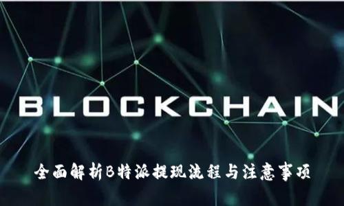 全面解析B特派提现流程与注意事项