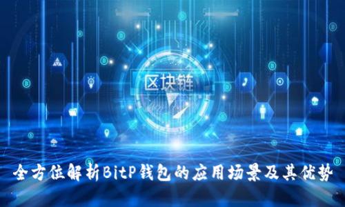 全方位解析BitP钱包的应用场景及其优势