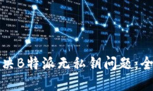 如何解决B特派无私钥问题：全面指南