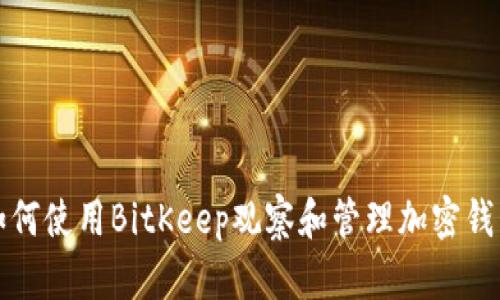 如何使用BitKeep观察和管理加密钱包
