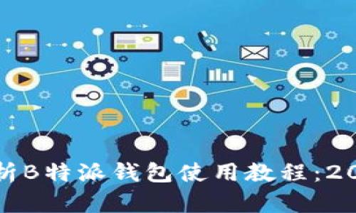 全面解析B特派钱包使用教程：2020年版