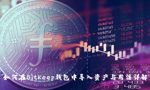 如何在BitKeep钱包中导入资产与用法详解