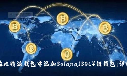 如何在比特派钱包中添加Solana（SOL）链钱包：详细指南