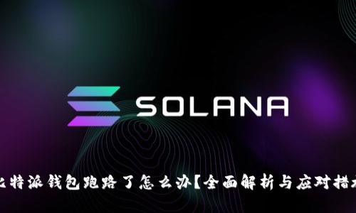 比特派钱包跑路了怎么办？全面解析与应对措施