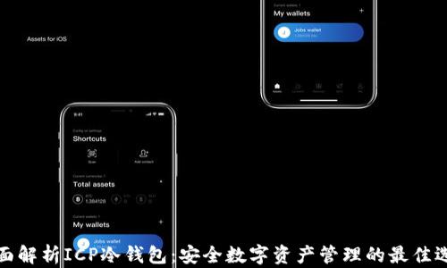 
全面解析ICP冷钱包：安全数字资产管理的最佳选择