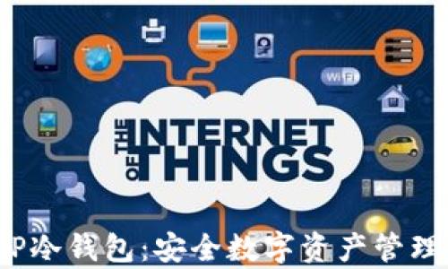 
全面解析ICP冷钱包：安全数字资产管理的最佳选择