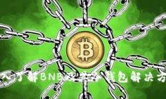 深入了解BNB及其冷钱包解