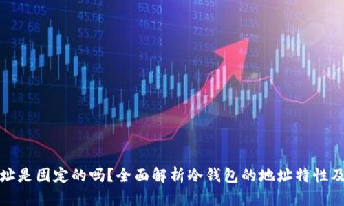 冷钱包地址是固定的吗？全面解析冷钱包的地址特性及其安全性