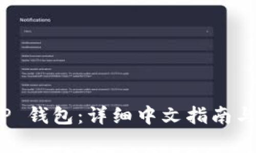 如何设置 BitP 钱包：详细中文指南与常见问题解答