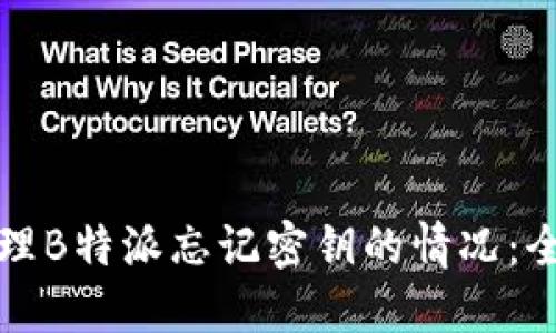 如何处理B特派忘记密钥的情况：全面指南