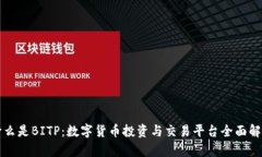 什么是BITP：数字货币投资