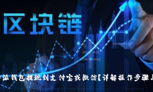 如何将B特派钱包提现到支付宝或微信？详解操作步骤与注意事项