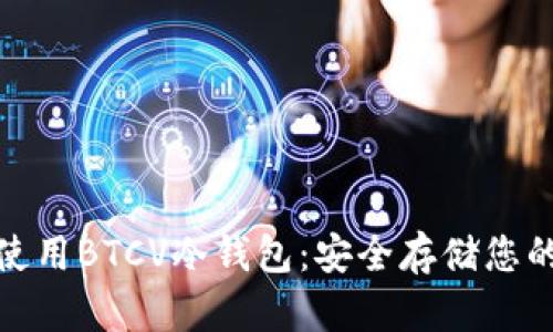 如何选择和使用BTCV冷钱包：安全存储您的比特币现金