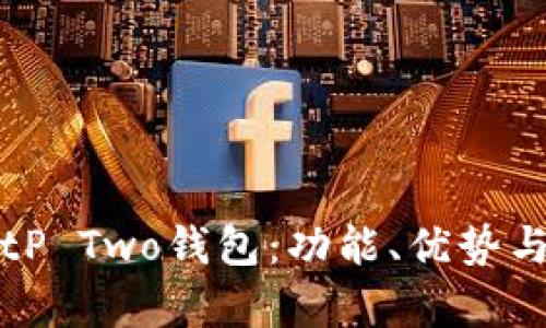 全面解读BitP Two钱包：功能、优势与安全性分析