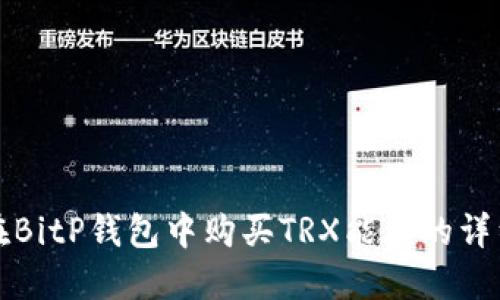 如何在BitP钱包中购买TRX能量的详细指南