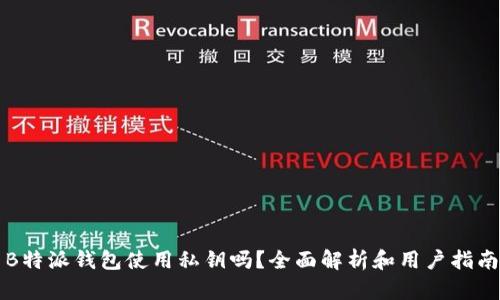 B特派钱包使用私钥吗？全面解析和用户指南