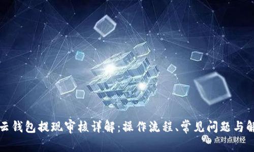 比特派云钱包提现审核详解：操作流程、常见问题与解决方案