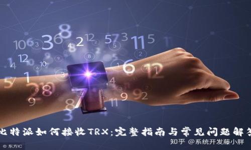 比特派如何接收TRX：完整指南与常见问题解答