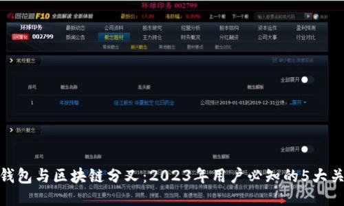 冷钱包与区块链分叉：2023年用户必知的5大关键