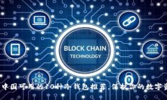 2023年中国可用的10种冷钱