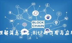 理解消息签名：BitP的作用