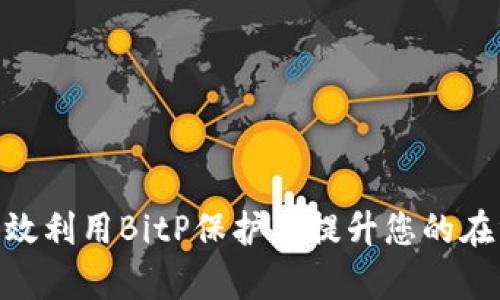 2023年详解：如何有效利用BitP保护盾提升您的在线安全性与隐私保护