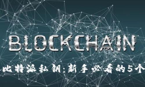 如何购买比特派私钥：新手必看的5个实用指南