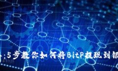 2023年：5步教你如何将Bi