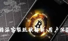 2023年 B 特派客服现状解析