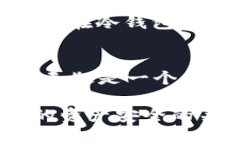 冷钱包和热钱包的区别：